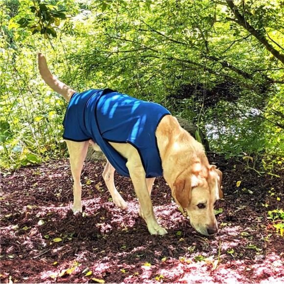 Dog Cooling Vest. Lightweight Jacket with Evaporative Cool Microfiber Technology - Picture 6 of 7